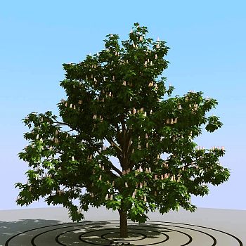 055景观树3d模型下载
