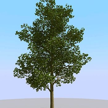 028景观树矮树3d模型下载