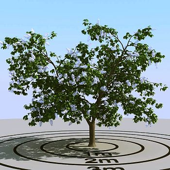 023开花的景观树3d模型下载