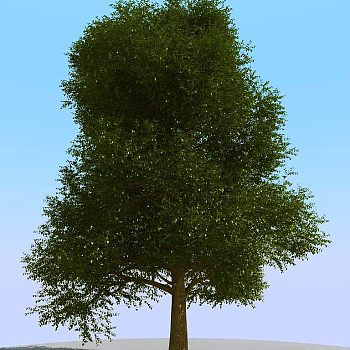 011景观植物树3d模型下载