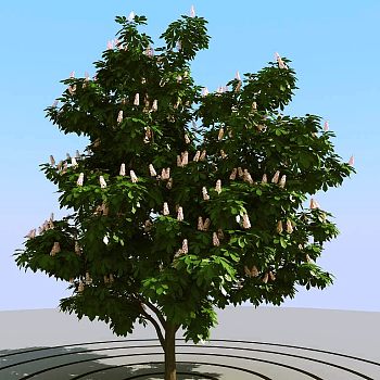 054景观树3d模型下载