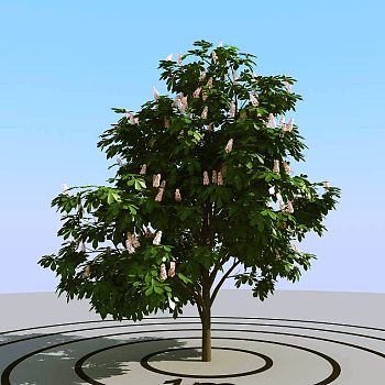 053景观树3d模型下载