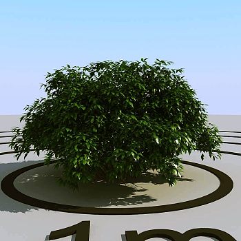 051灌木植物球绿植3d模型下载