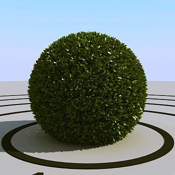 037灌木植物球绿植3d模型下载