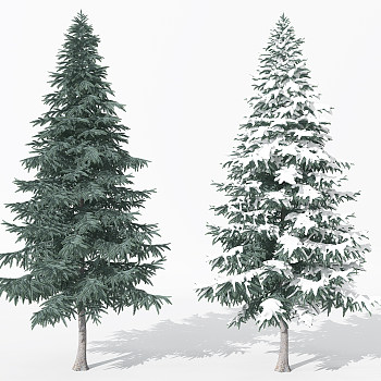 H40-0730景观植物树松柏树针叶植物雪景树3dmax模型下载