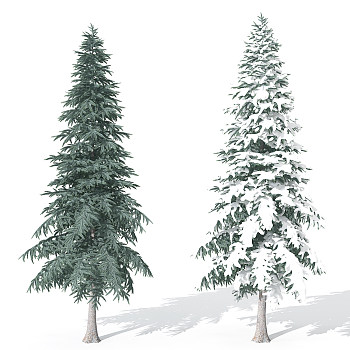 H38-0730景观植物树松柏树针叶植物雪景树3dmax模型下载