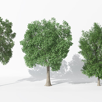 H66-0730景观树3dmax模型下载