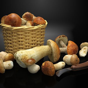 藤编框食物蘑菇3d模型下载