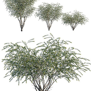 植物树3d模型下载