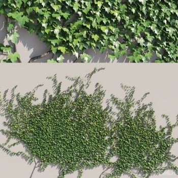 藤蔓植物3d模型下载