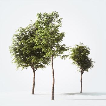 9树3d模型下载