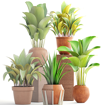 植物盆栽3d模型下载