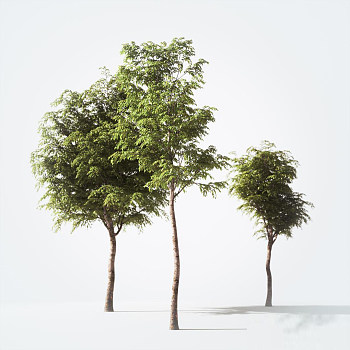 景观树3d模型下载