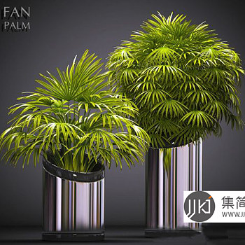 现代植物3d模型下载