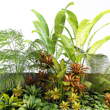 景观植物3d模型下载