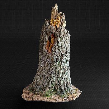 枯树3D模型下载