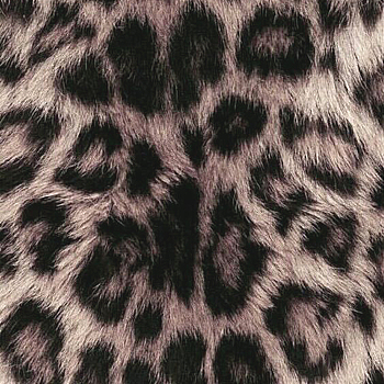 动物毛皮地毯皮毛豹纹图案地毯 (162)