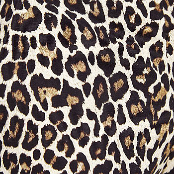 动物毛皮地毯皮毛豹纹图案地毯 (170)