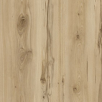松木木纹木板贴图 (158)