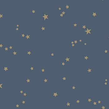 儿童房星星星空壁纸 (210)