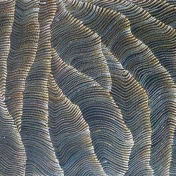 新中式抽象水纹波浪纹曲线等高线纹理地毯贴图 (8)