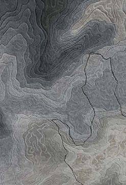新中式抽象水纹波浪纹曲线等高线纹理地毯贴图 a (22)