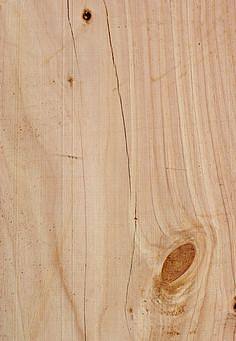 破旧原木大板粗糙木纹大纹木板木纹 a (39)