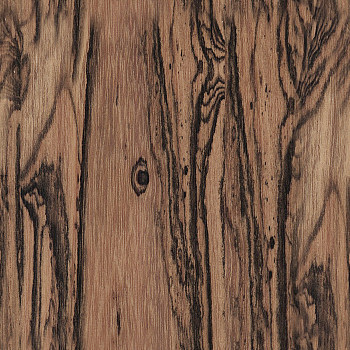 破旧原木大板粗糙木纹大纹木板木纹 (148)
