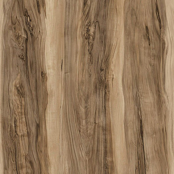 破旧原木大板粗糙木纹大纹木板木纹 (150)