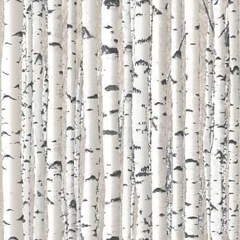 白桦树树皮材质贴图 (116)