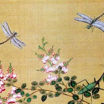中式欧式花鸟壁纸贴图 (173)