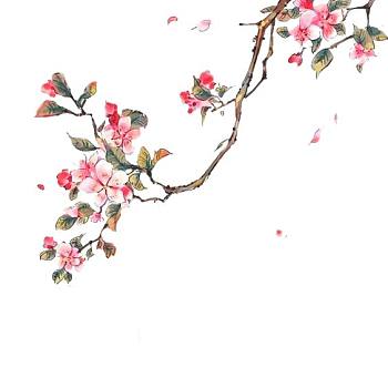 中式欧式田园花鸟壁纸壁画壁布背景画 (4)