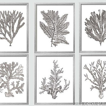 北欧现代地中海田园乡村植物画珊瑚画 (5)