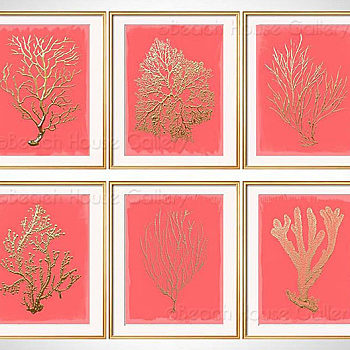 北欧现代地中海田园乡村植物画珊瑚画ad (1)
