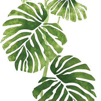 北欧现代小清晰植物叶子绿叶装饰画挂画 (16)
