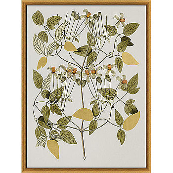 北欧现代小清晰植物叶子绿叶装饰画挂画 (29)