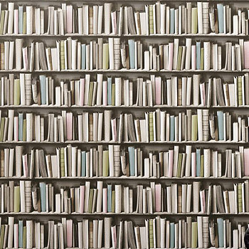 现代欧式美式书籍书柜壁纸壁纸贴图 (137)