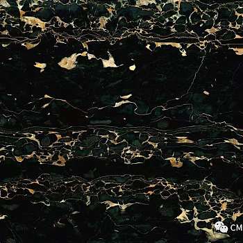 黑色黑金花石材大理石瓷砖 (6)