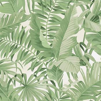 现代植物树叶芭蕉叶壁纸 (1)