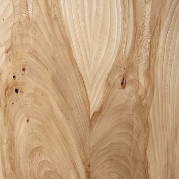 粗糙原木烂木头旧木头 (5)