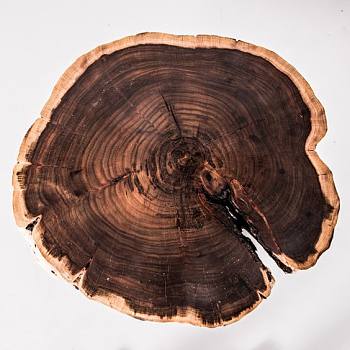 破旧粗糙原木老木头树桩年轮 (3)