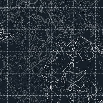 新中式水纹等高线图案抽象图案地毯材质贴图 (2)
