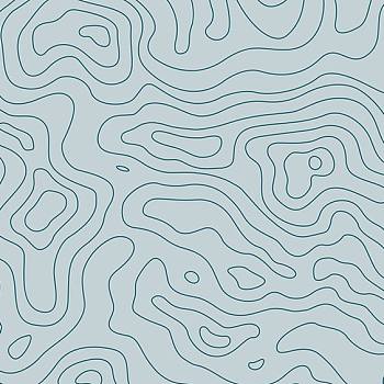 新中式水纹等高线图案抽象图案地毯材质贴图 (4)